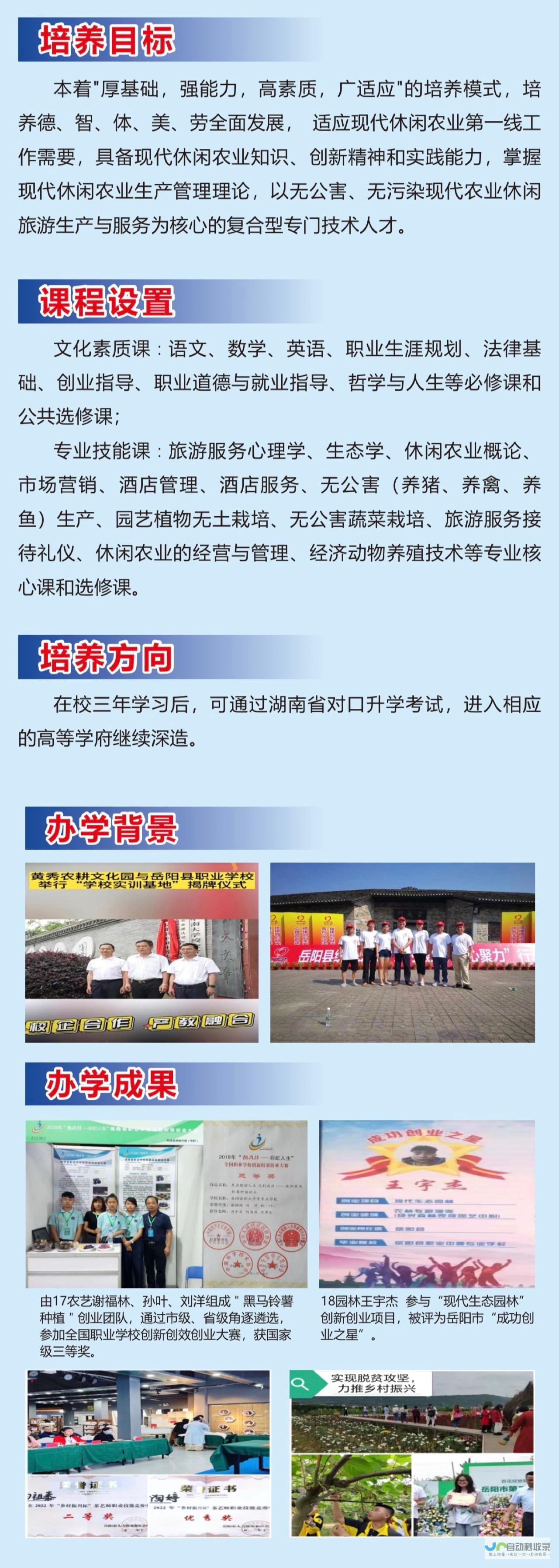 岳阳专业网站建设服务：助力企业快速发展，拓展线上市场
