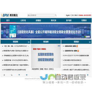 BPM博阳咨询